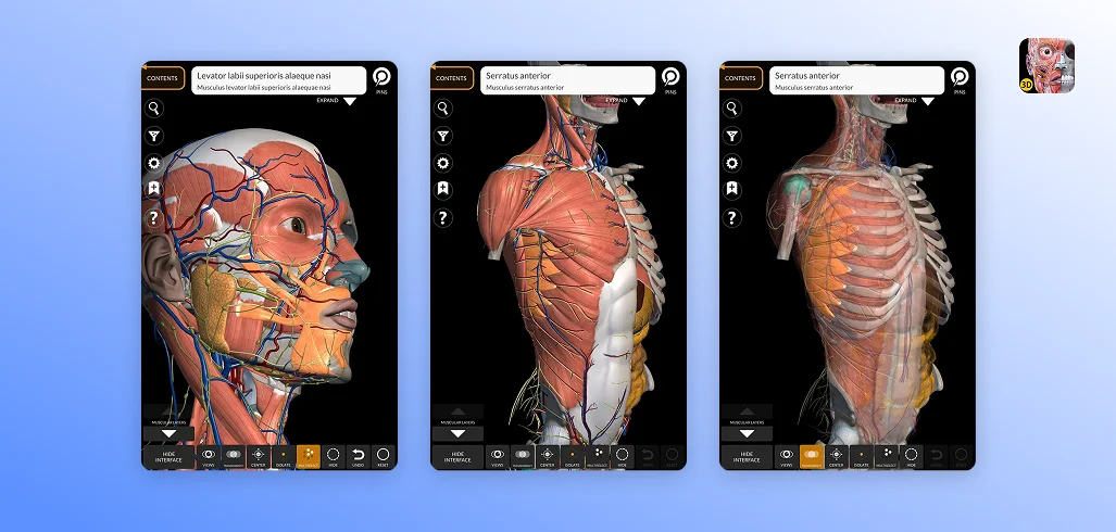 10+ Best anatomy apps in 2026 - Voka